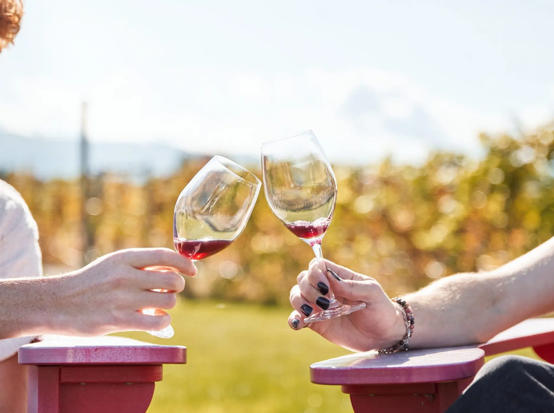 Professional Photography Kelowna - Hiilite Photography - Wineries Near Me