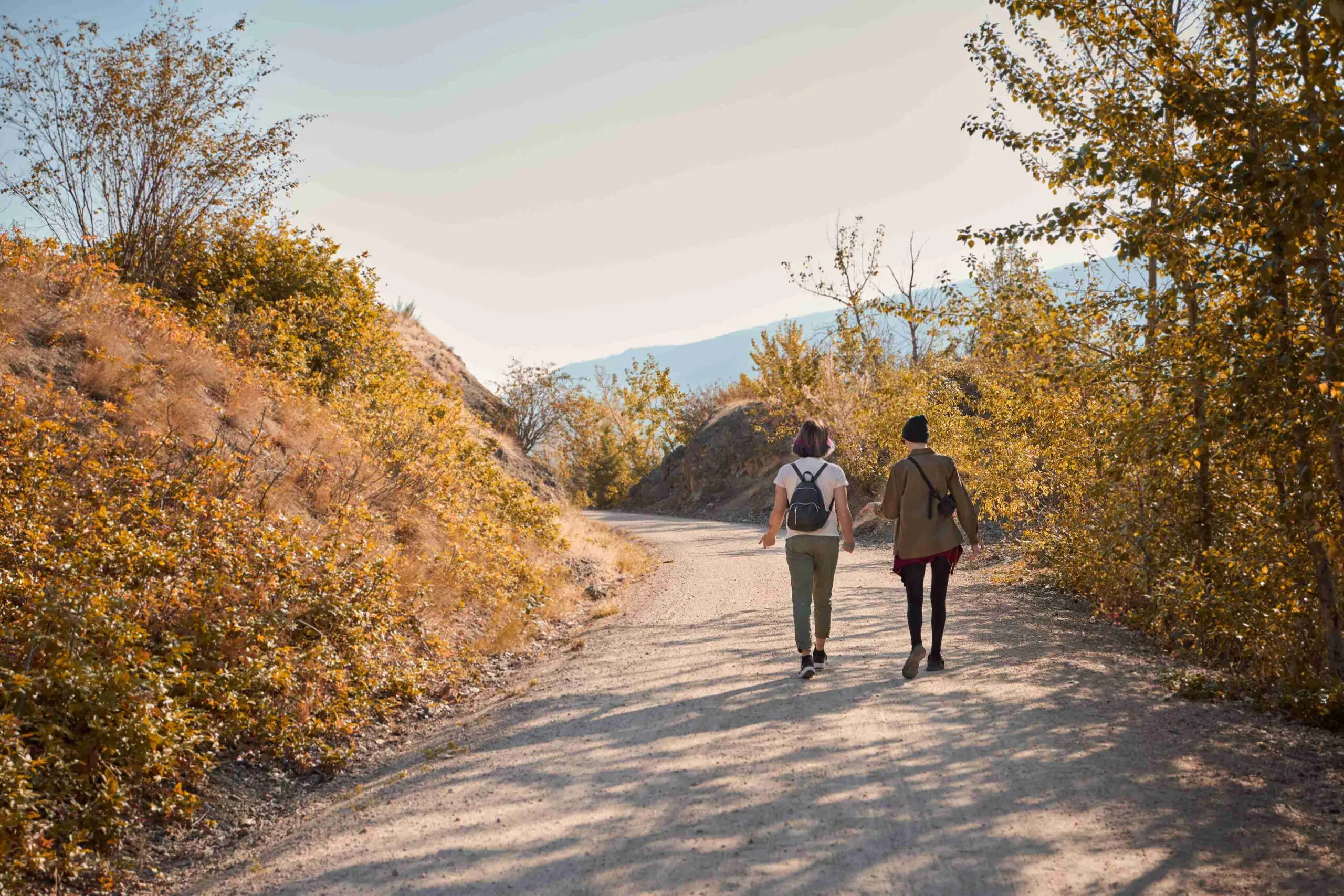 walking amongst trees for fall photoshoot