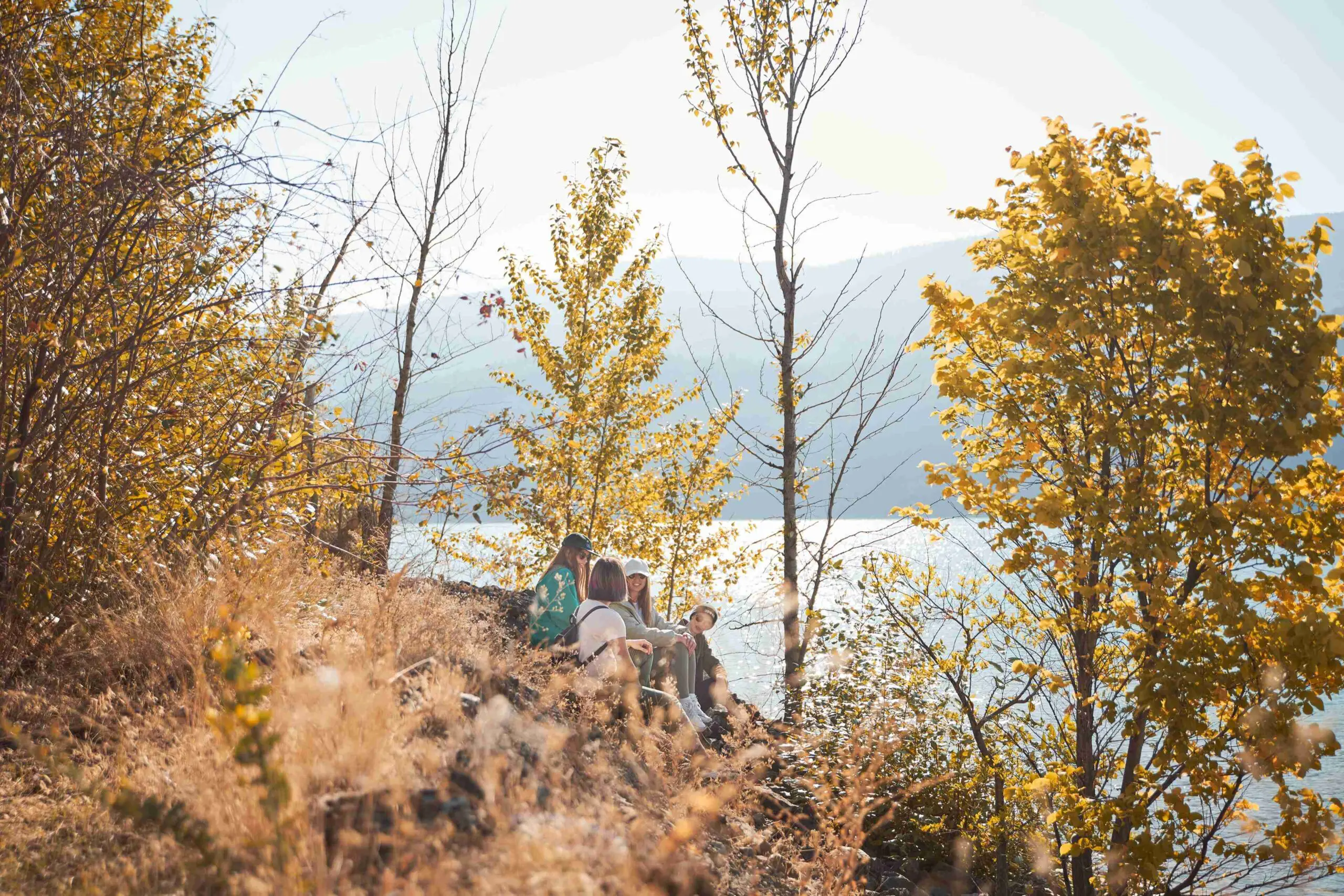 family fall photoshoot